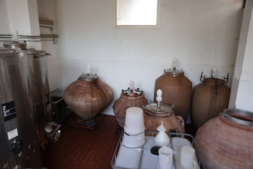 Natural Wine and Food Experience