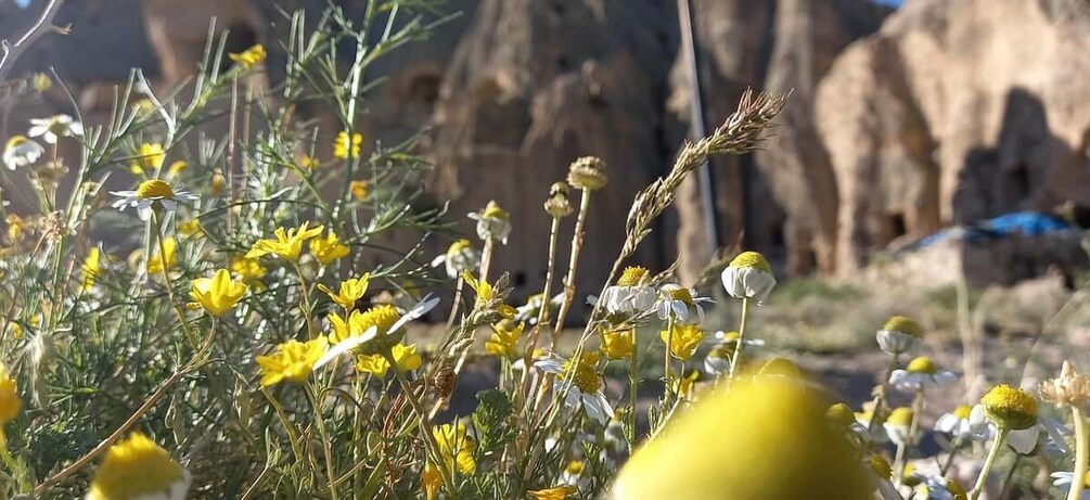 Picture 8 for Activity Cappadocia: Derinkuyu, Selime, Nar Crater Lake & Ihlara Tour