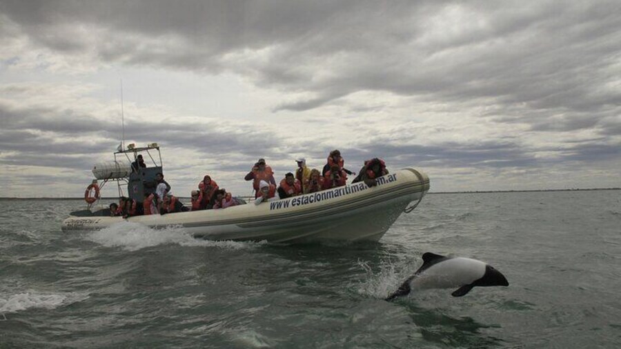 Lower Valley of the Chubut River with Dolphins boat watching