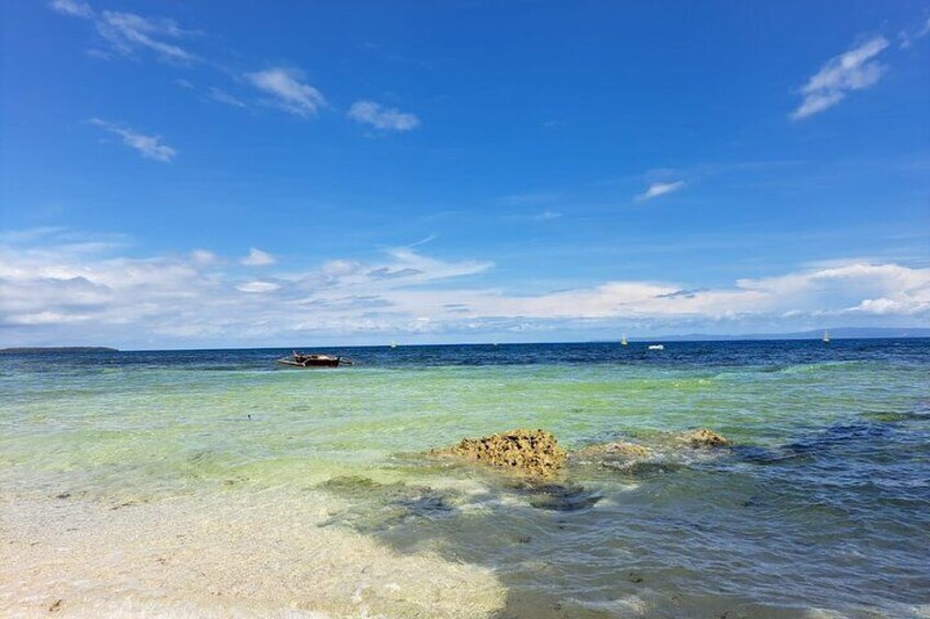 Snorkeling activity at Sumilon Island and Moalboal Marine Life