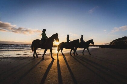 Private Horse riding experience Lake Kournas and Georgioupoli