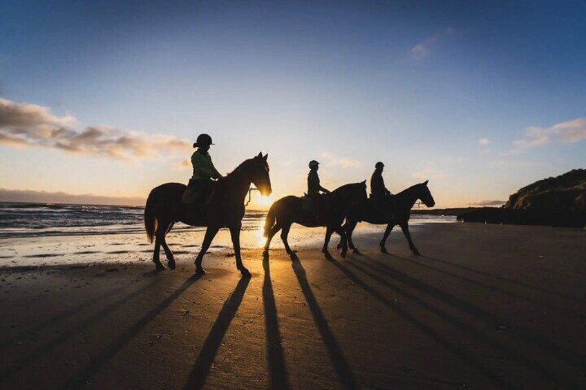 Private Horse riding experience in Kissamos area