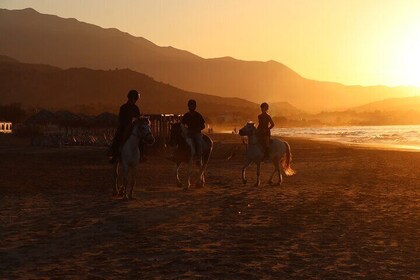 Private Horse riding experience at Kissamos