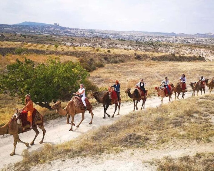 Picture 2 for Activity Cappadocıa Camel Ride