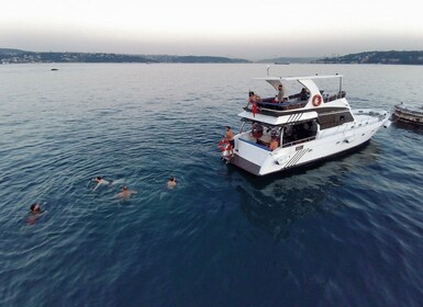 İstanbul Privat luksusyacht på Bosporus 14 meter (46 fod)