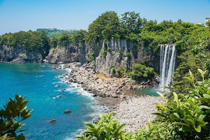 Seogwipo Natural Wonders: Craters, Caves, and Forests