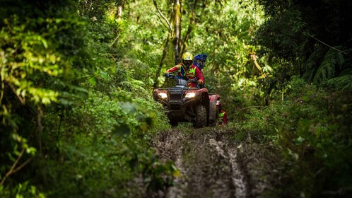 Istanbul: Tur ATV Hutan Belgrad dengan Opsi Ziplin