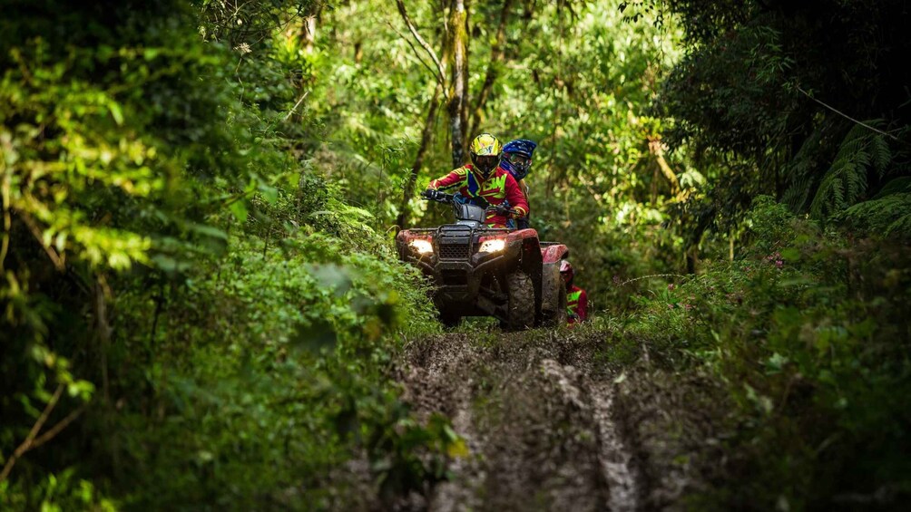 Istanbul: Belgrad Forest ATV Tour with Ziplining Option