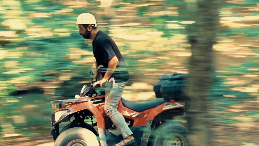 Picture 4 for Activity Istanbul: Belgrad Forest ATV Tour with Ziplining Option