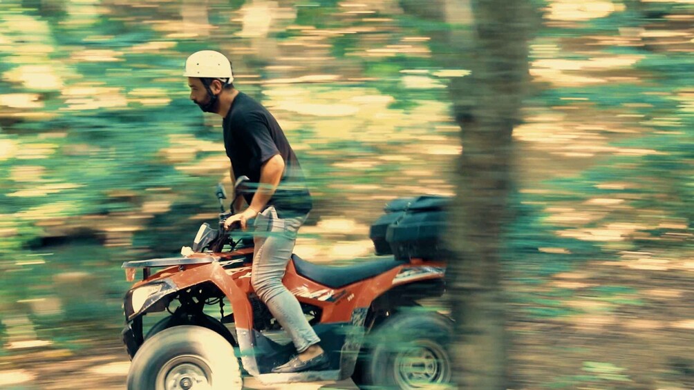 Picture 4 for Activity Istanbul: Belgrad Forest ATV Tour with Ziplining Option