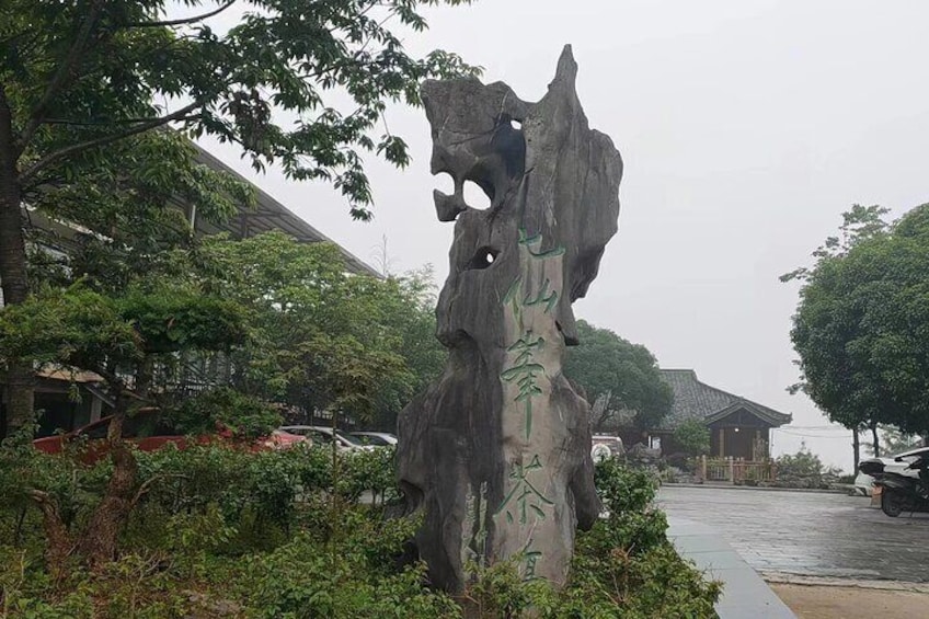 Qixianfeng Tea Plantation Tour in Yangshuo