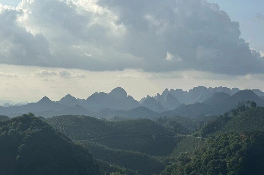 Qixianfeng Tea Plantation Tour in Yangshuo