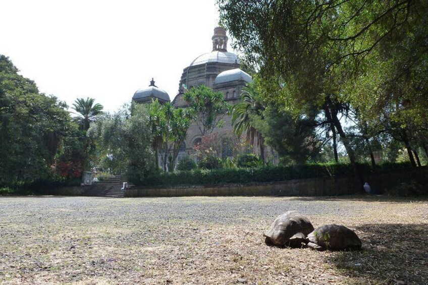 Bahita Church Addis Ababa