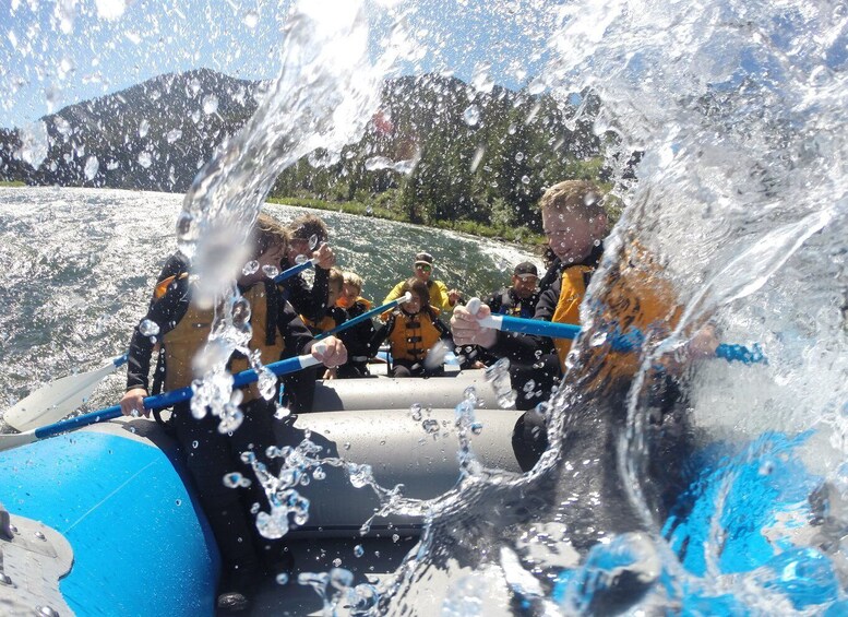 Picture 3 for Activity Jackson: 4-Hour Small Boat Snake River Whitewater Rafting