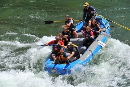 Jackson: 4-timers rafting i liten båt i Snake River