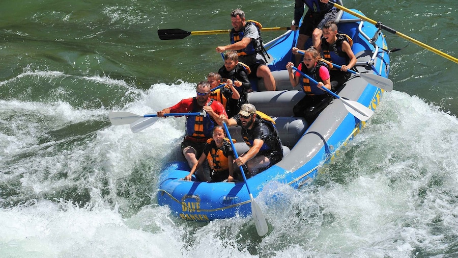 Jackson: 4-Hour Small Boat Snake River Whitewater Rafting