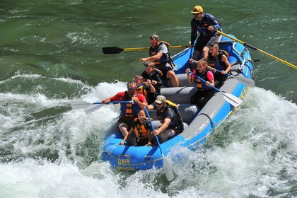 Jackson: rafting en aguas bravas en barco pequeño de 4 horas en el río Snak...