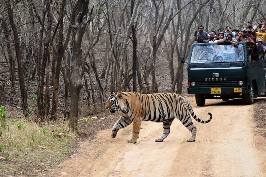 Ranthambore Tiger Reserve