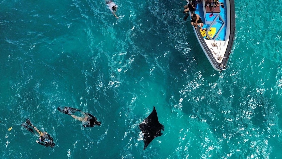 From Bali: Full Day Private Snorkeling Tour Nusa Penida