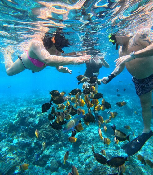 Picture 24 for Activity From Bali: Nusa Penida Full Day Private Snorkeling Tour