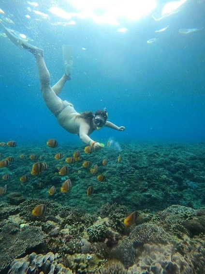 Picture 9 for Activity From Bali: Full Day Private Snorkeling Tour Nusa Penida