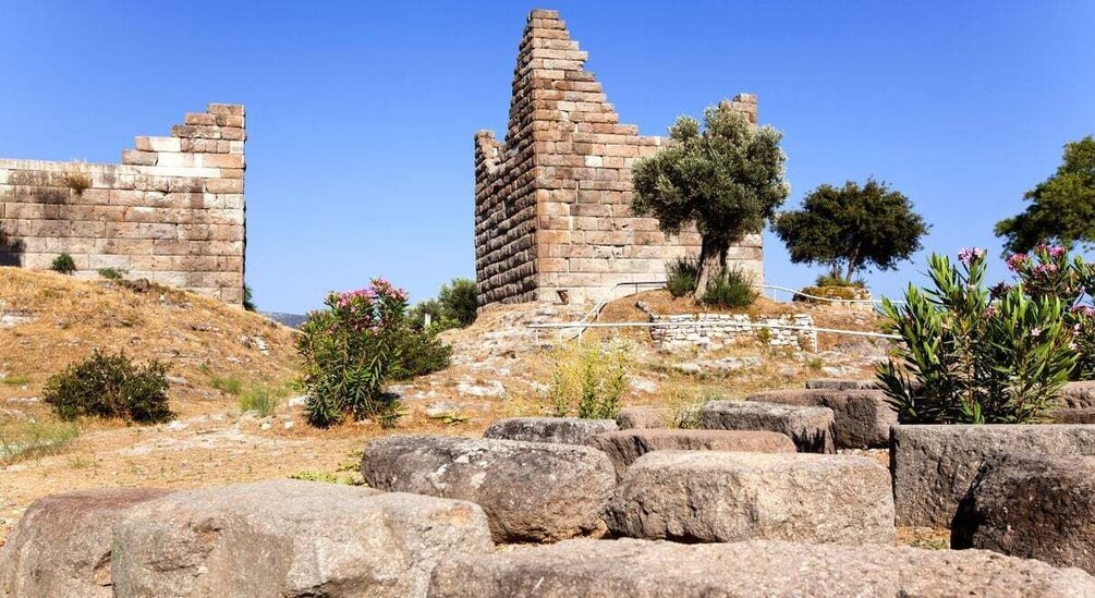 Picture 3 for Activity Captivating Bodrum City Tour: History & Culture Unveiled