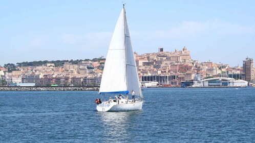 Golfe de Cagliari : excursion en voilier d'une demi-journée