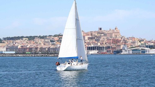 Golfe de Cagliari : excursion en voilier d'une demi-journée