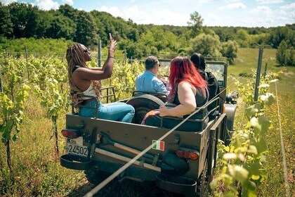 Wine Safari:Tour Of Poggio Ai Laghi Vineyard On a Vintage Offroad