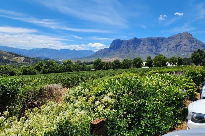 Private Tour to 20 Wine Tasting in Stellenbosch and Franschhoek