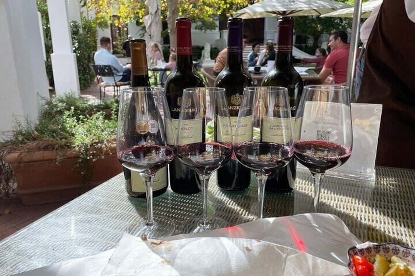 Private Tour to 20 Wine Tasting in Stellenbosch and Franschhoek