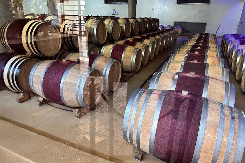 Private Tour to 20 Wine Tasting in Stellenbosch and Franschhoek