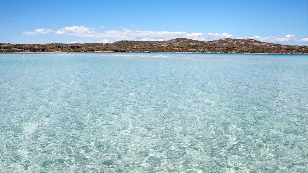 Picture 15 for Activity Santa Teresa: Speedboat tour around Lavezzi and Piana Island