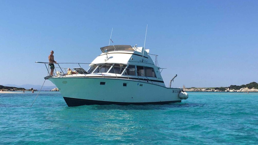 Santa Teresa: Speedboat tour around Lavezzi and Piana Island