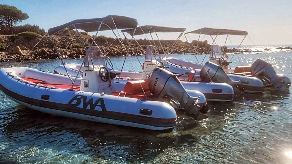 Picture 7 for Activity From Orosei: dinghy tour to Cala Ginepro - Cala Goloritzè