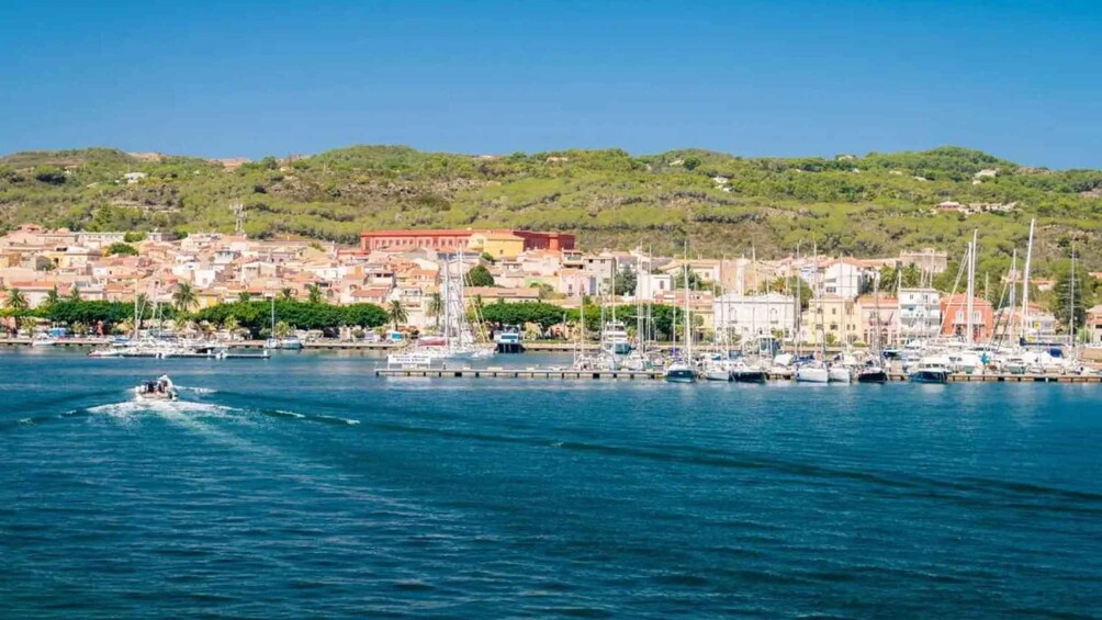 Picture 10 for Activity Calasetta: H/d dinghy trip San Pietro or Sant'Antioco island