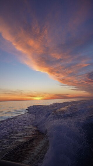 Picture 7 for Activity Ibiza Es Vedra: Private boat trip - Sunset and drinks.