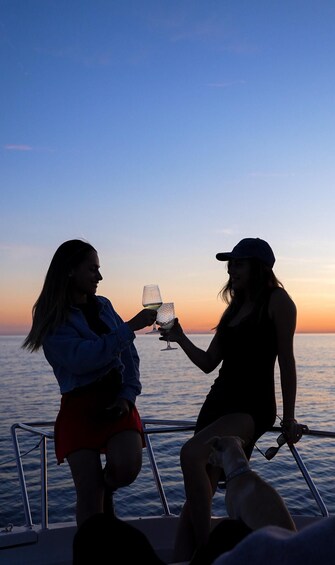 Picture 3 for Activity Ibiza Es Vedra: Private boat trip - Sunset and drinks.