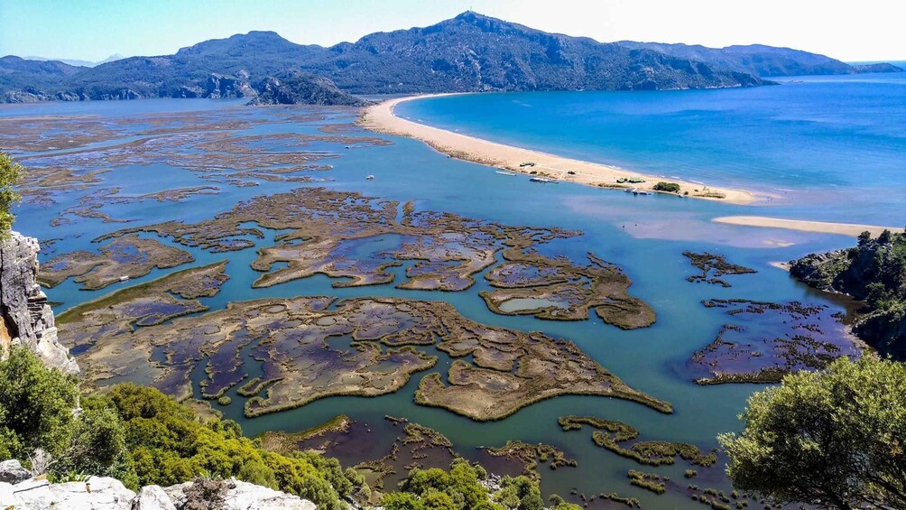 Picture 1 for Activity Marmaris: Dalyan Turtle Beach Tour with Mud Bath & Lunch