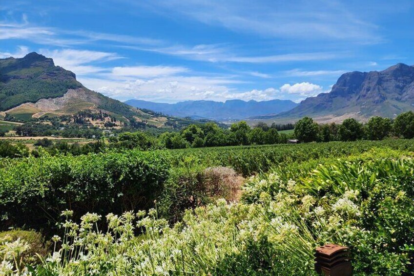 Full-Day Franschhoek Wine Tour from Cape Town