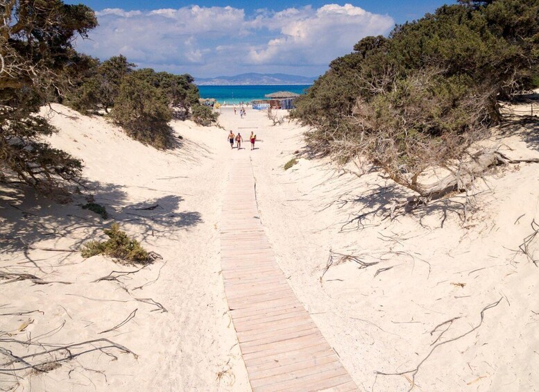 Picture 3 for Activity From Crete: Chrissi Island Yacht Cruise with Lunch