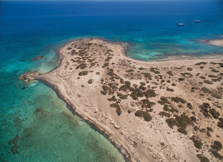 Picture 5 for Activity From Crete: Chrissi Island Yacht Cruise with Lunch