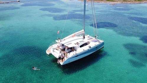 Gulf of Asinara: Full day catamaran excursion with lunch