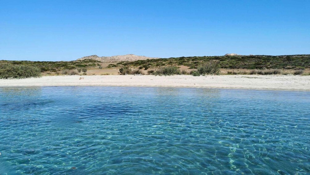 Picture 6 for Activity Gulf of Asinara: Full day catamaran excursion with lunch