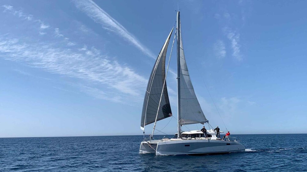 Picture 5 for Activity Gulf of Asinara: Full day catamaran excursion with lunch