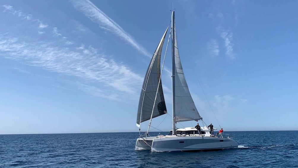 Picture 5 for Activity Gulf of Asinara: Full day catamaran excursion with lunch