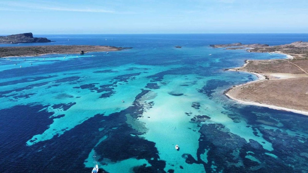 Picture 6 for Activity From Stintino: boat trip to Asinara