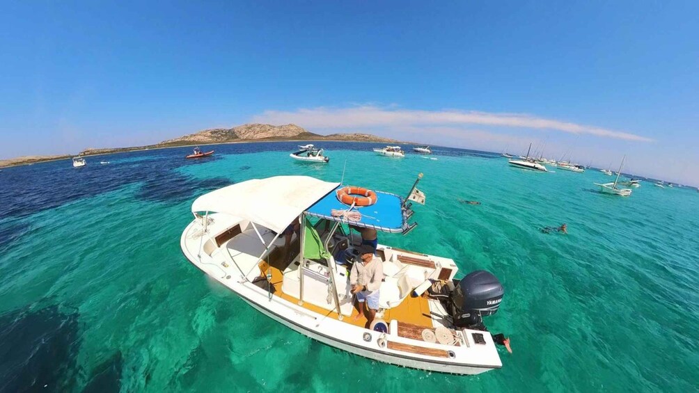 From Stintino: boat trip to Asinara