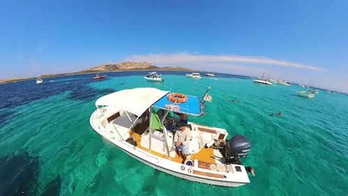 From Stintino: boat trip to Asinara