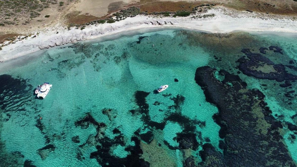 Picture 5 for Activity From Stintino: boat trip to Asinara